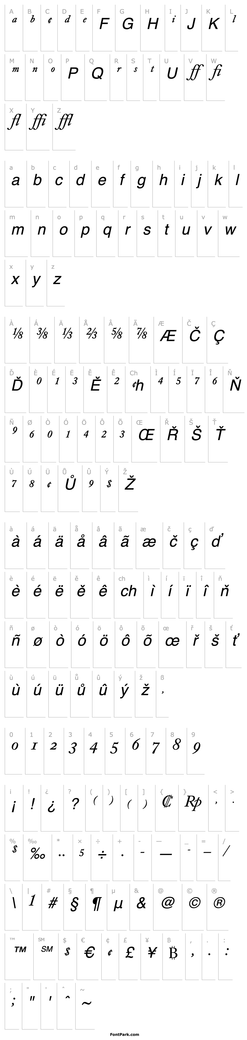 Přehled CaslonBEExpert-Book Italic