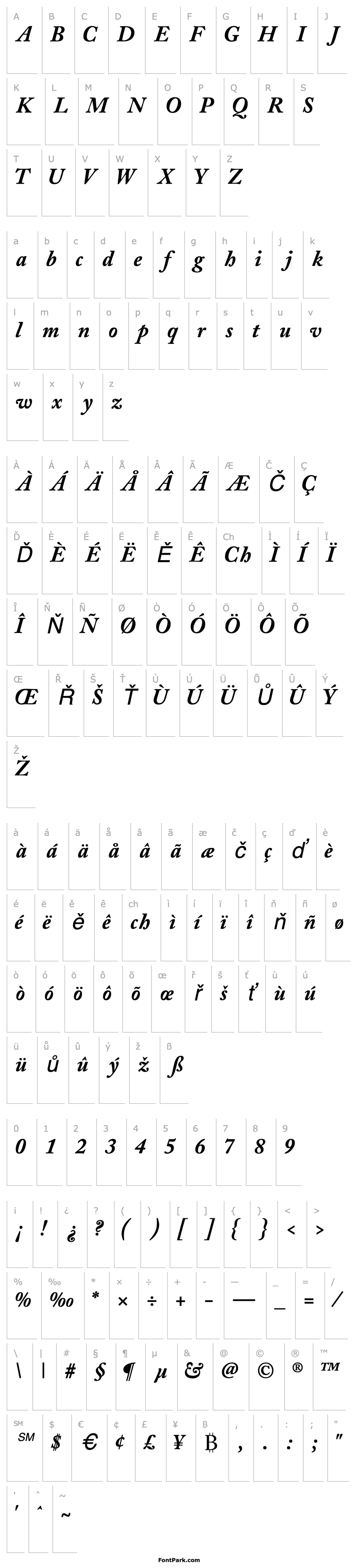 Overview CaslonBlackSSK Italic