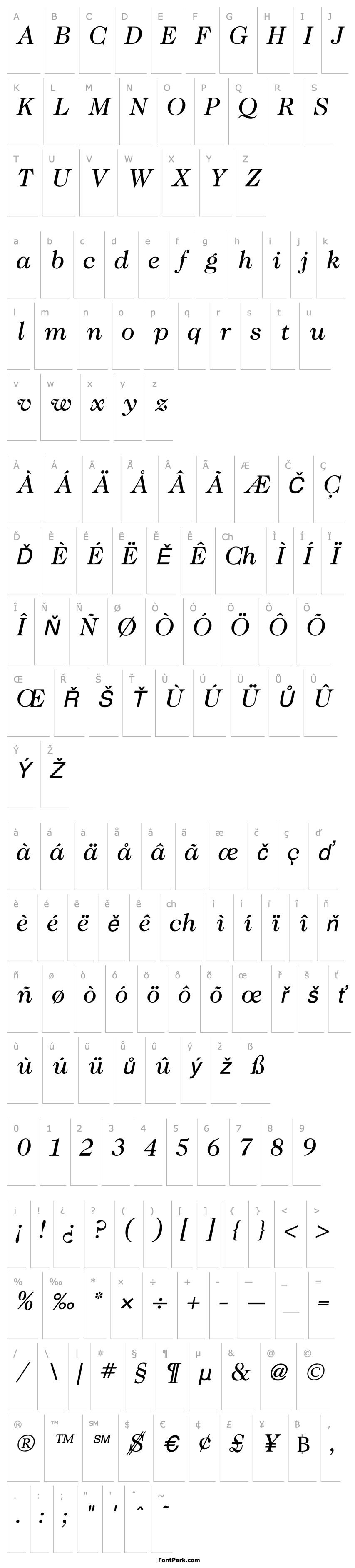 Přehled CaslonBookItalic