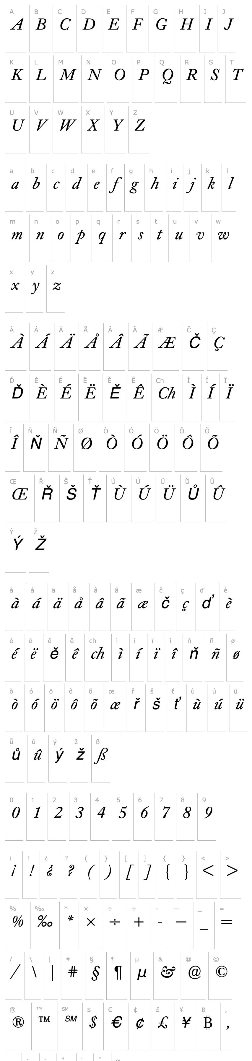 Přehled CaslonBuchBQ-Italic