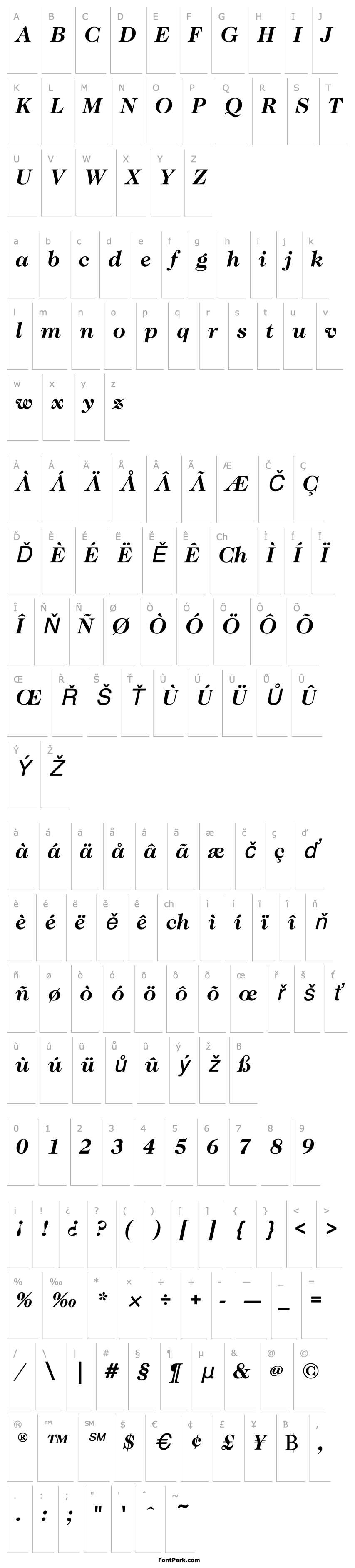 Přehled CaslonNo224EF-BoldItalic