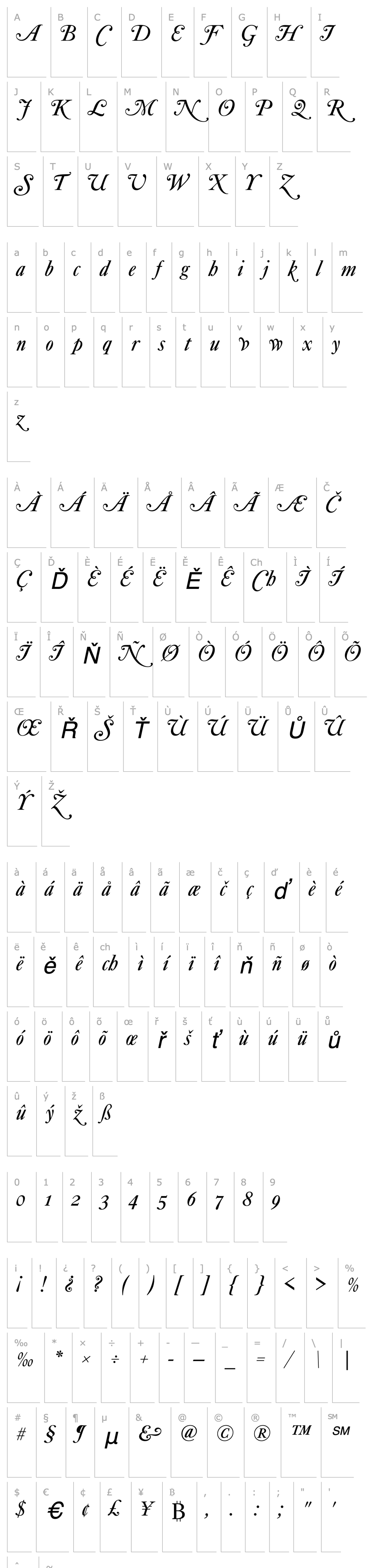 Overview CaslonNo540SwaD Italic