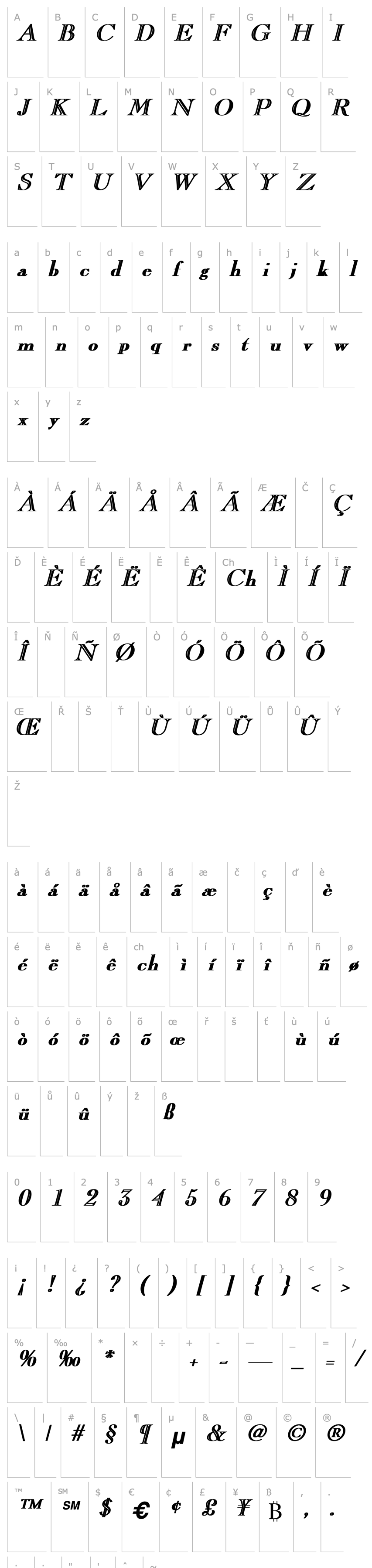 Přehled CaslonOpenFace Bold Italic