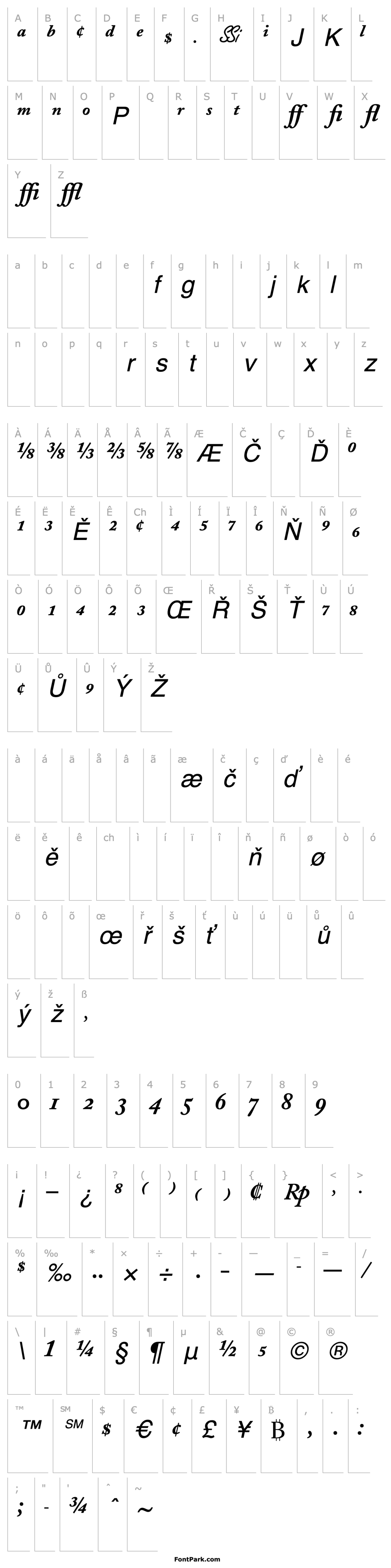 Přehled CaslonProBlackSSK Italic