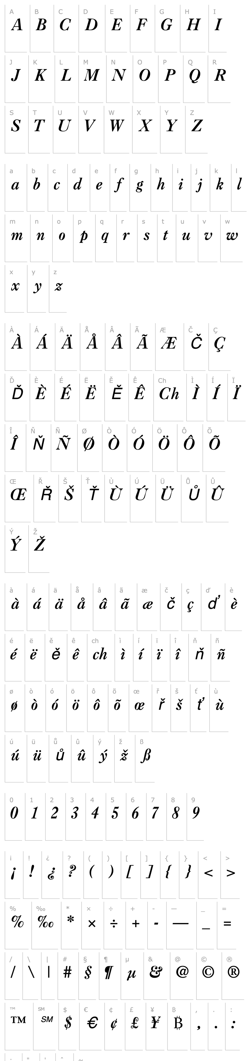 Overview CaslonThreeSSK Italic