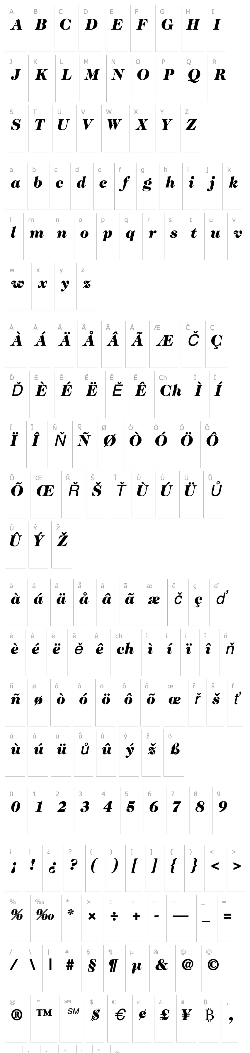 Přehled CaslonTwoBlackSSK Italic