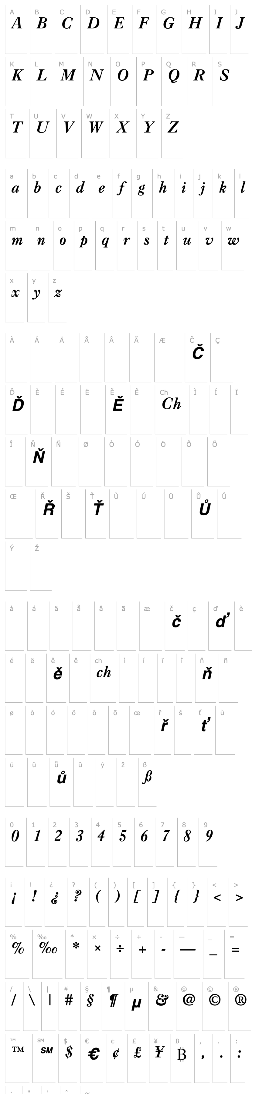 Overview Casque Bold Italic