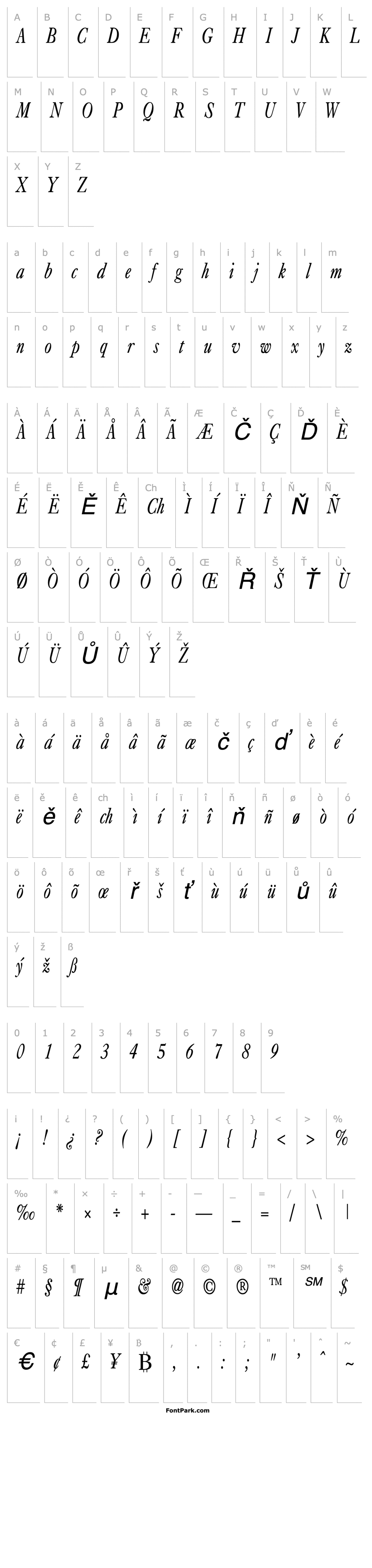 Overview CasqueCondensed Italic