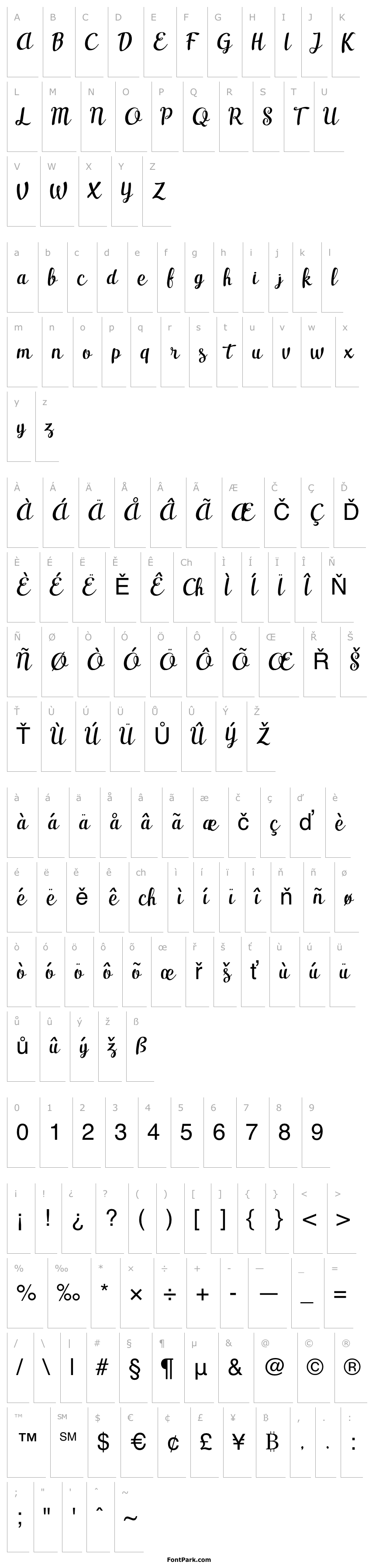 Overview Casseron-Script