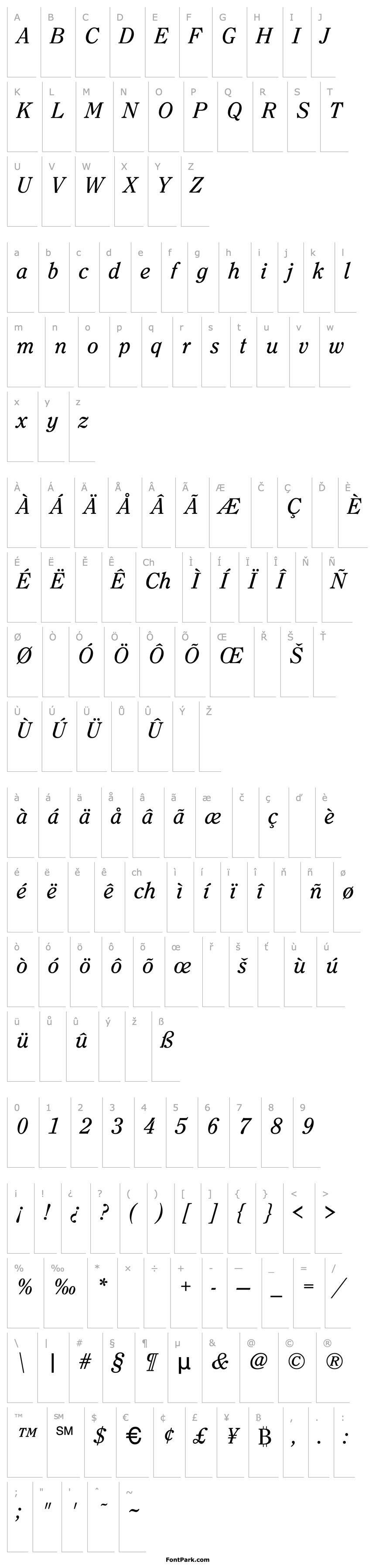 Overview CasualSerif-Italic