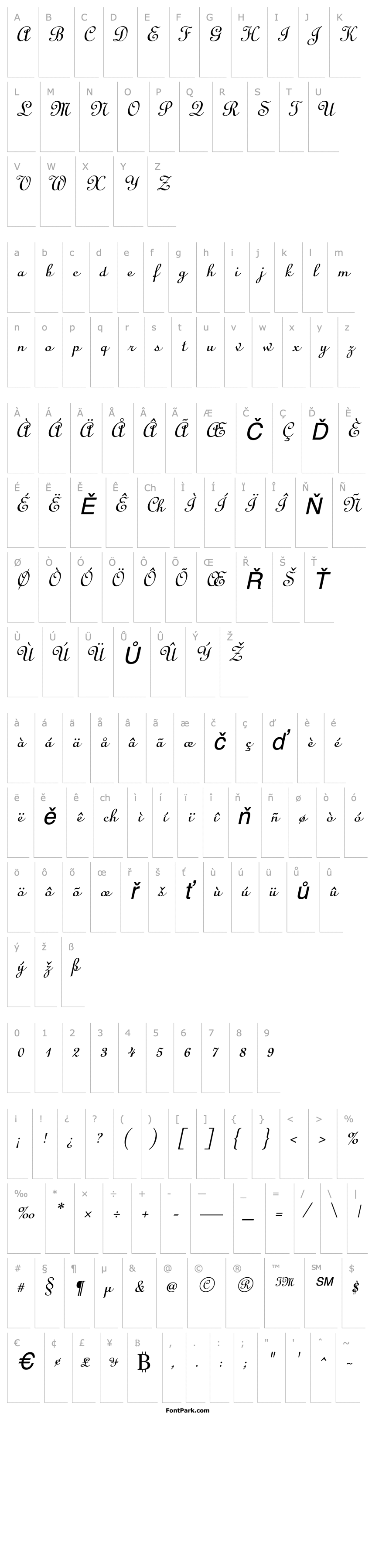 Overview Cathedral Italic