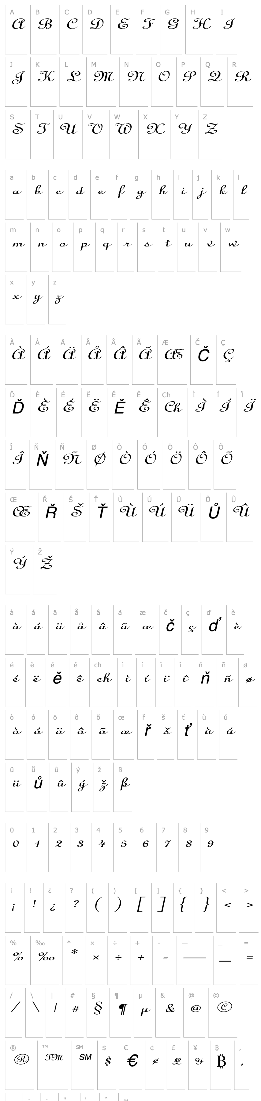 Overview CathedralExtended Italic