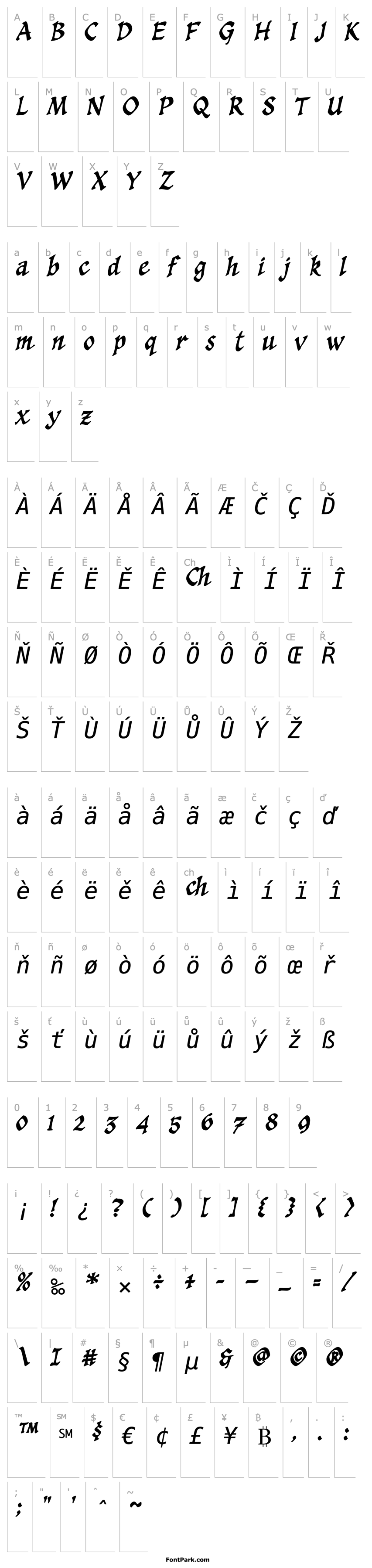 Přehled CCSpellcaster-Italic