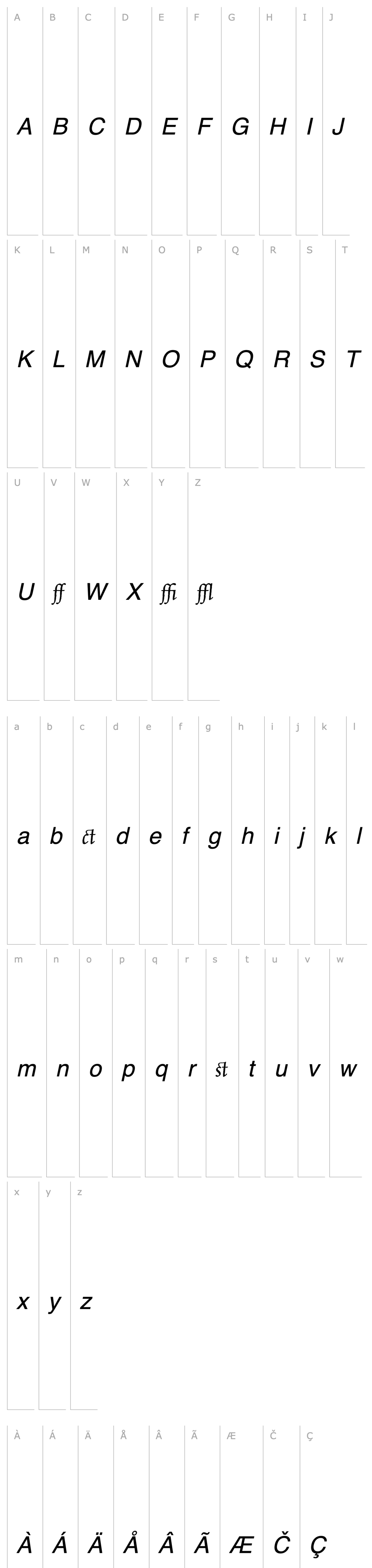 Overview CelestiaAntiquaLigatures-Italic