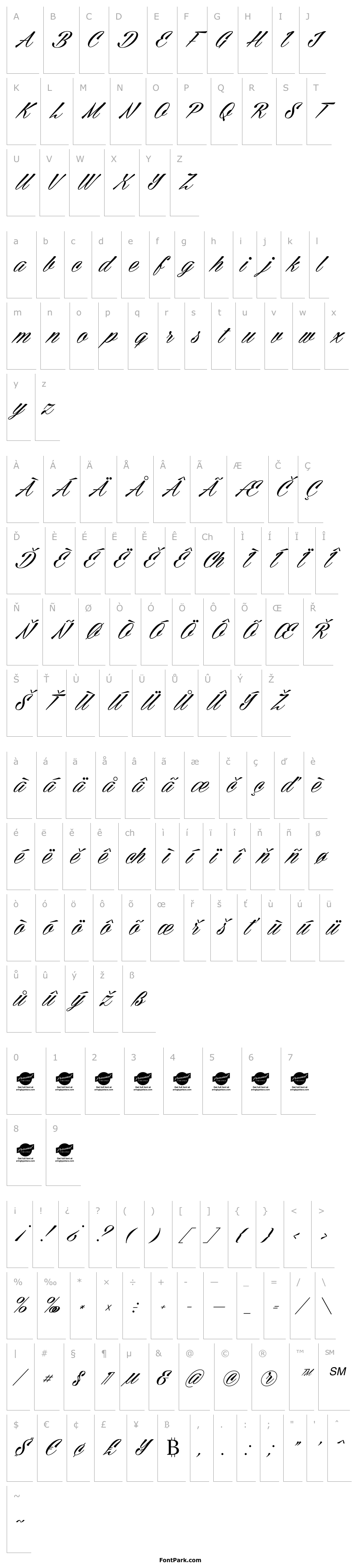 Overview Cellos Script Personal Use Only