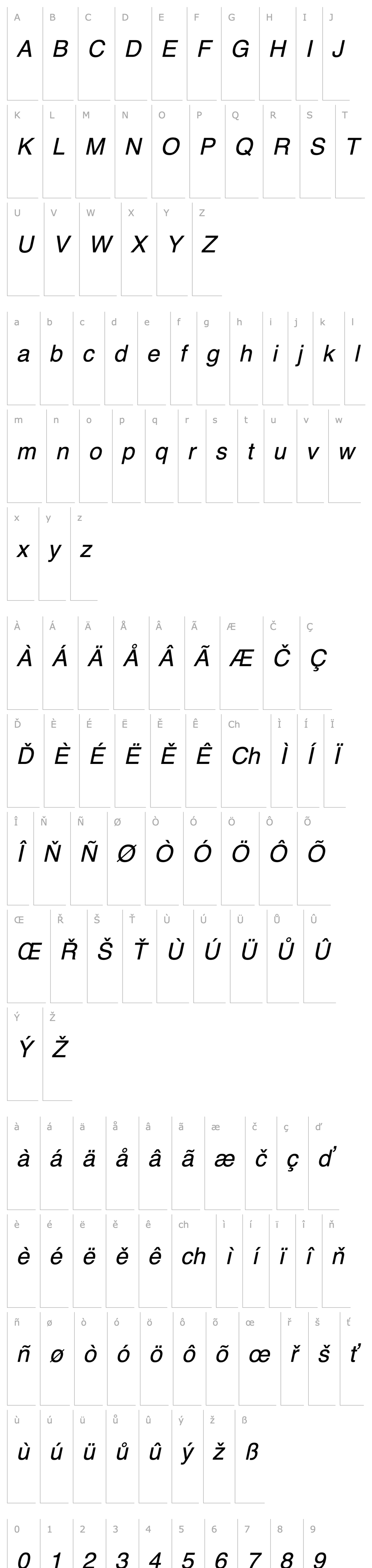 Přehled CentaurMT-ItalicAlternate