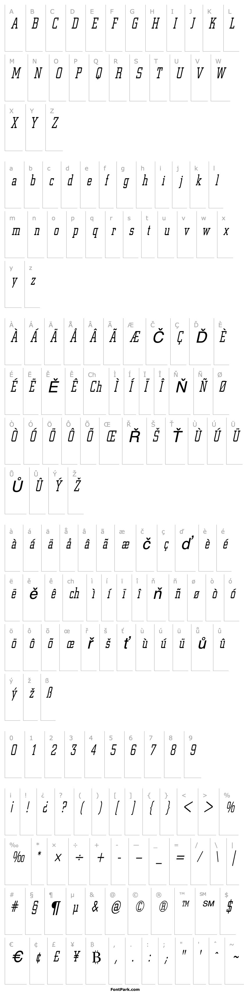 Overview CenterCityCondensed Oblique