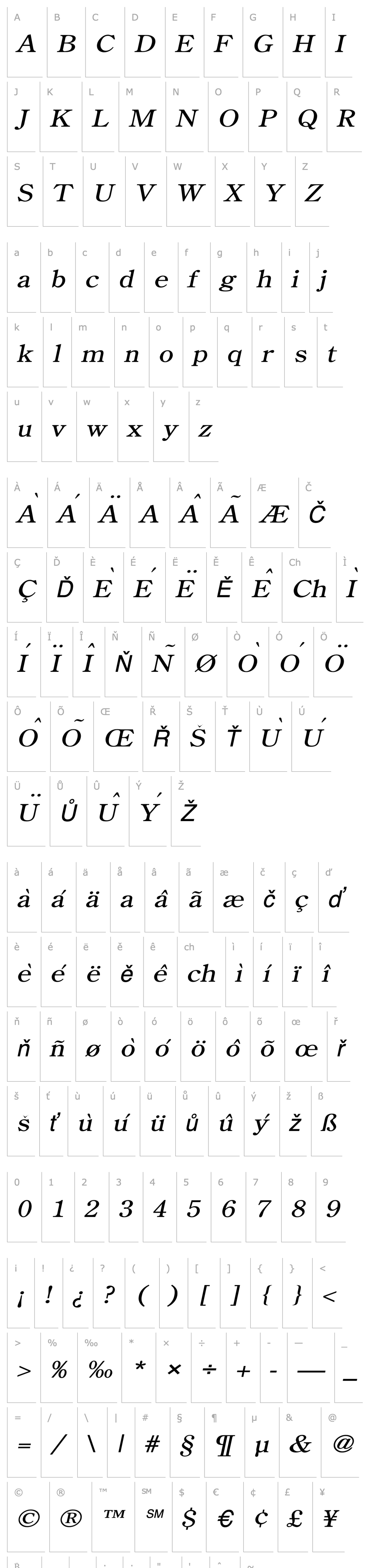 Overview Cento Wide Italic