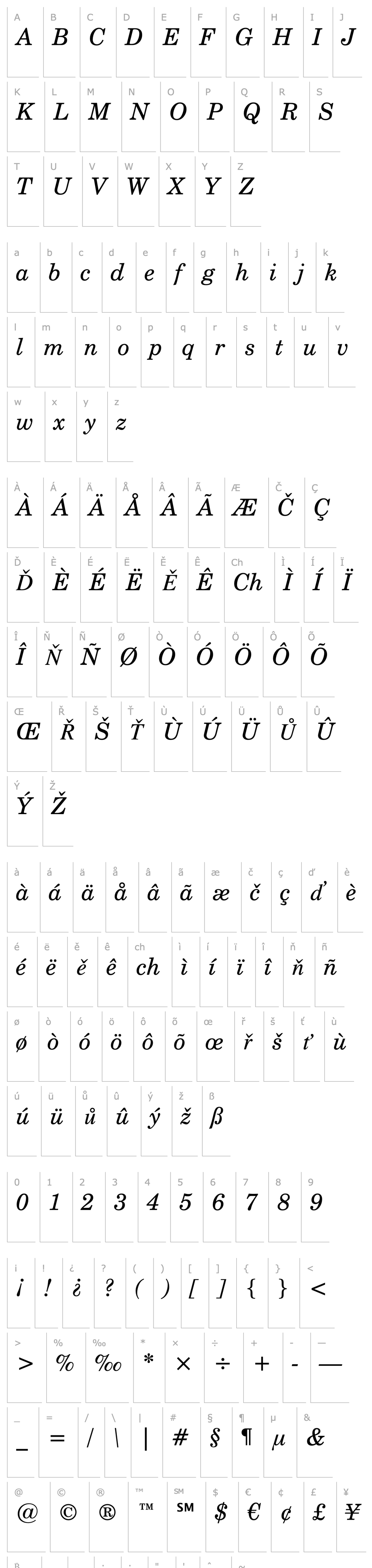 Overview CentSchbook BT Italic