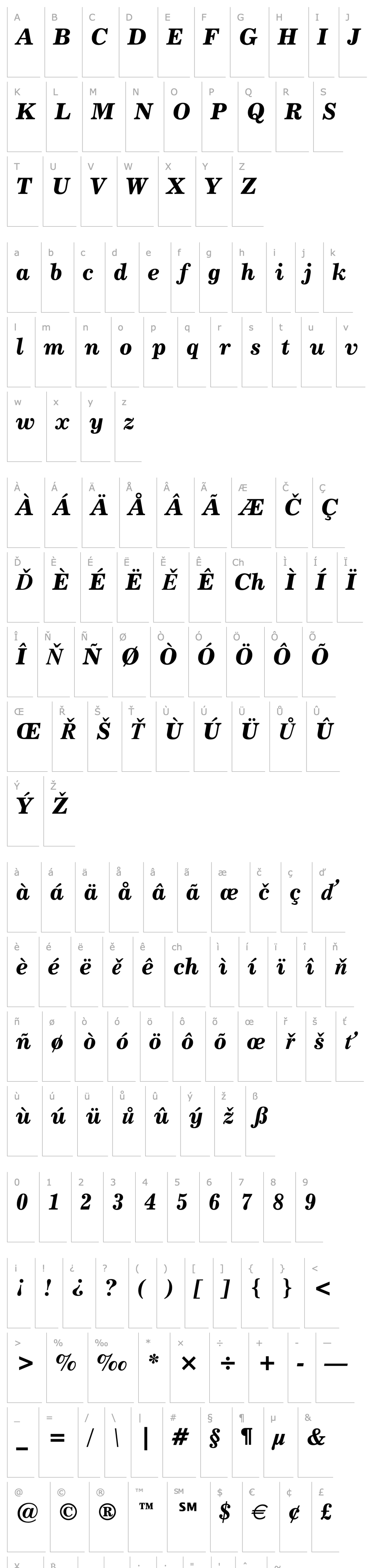 Overview Century 731 Bold Italic BT