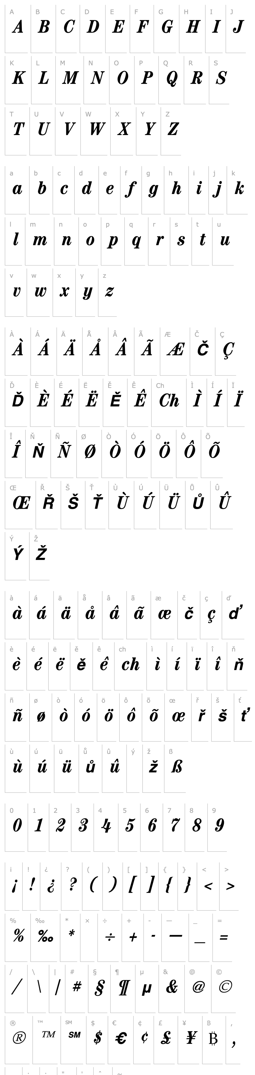 Overview Century Condensed Bold Italic