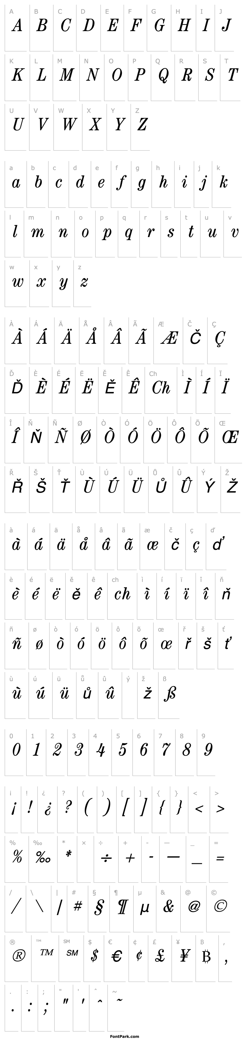 Overview Century Condensed Italic