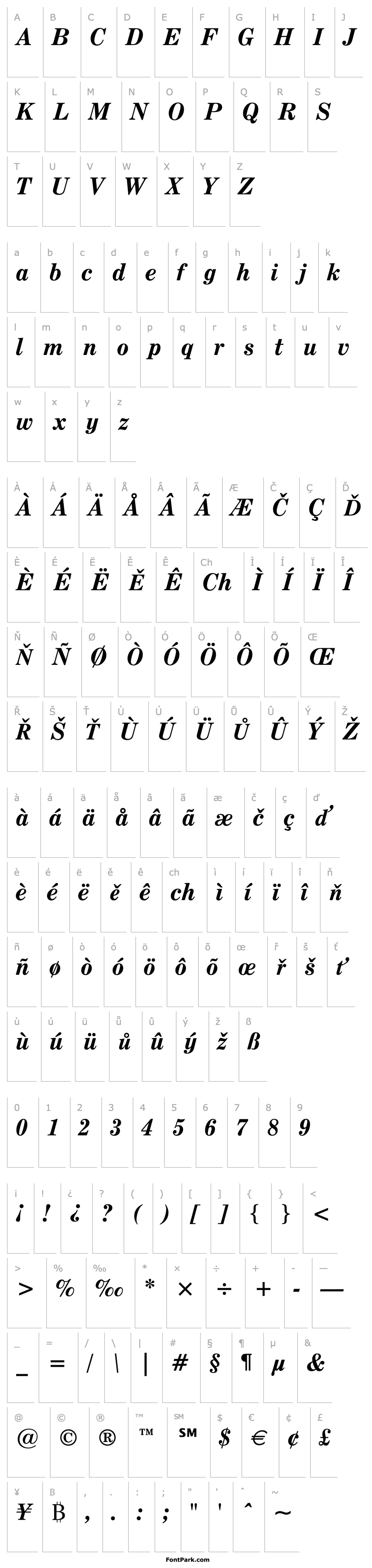 Overview Century Expanded Bold Italic BT