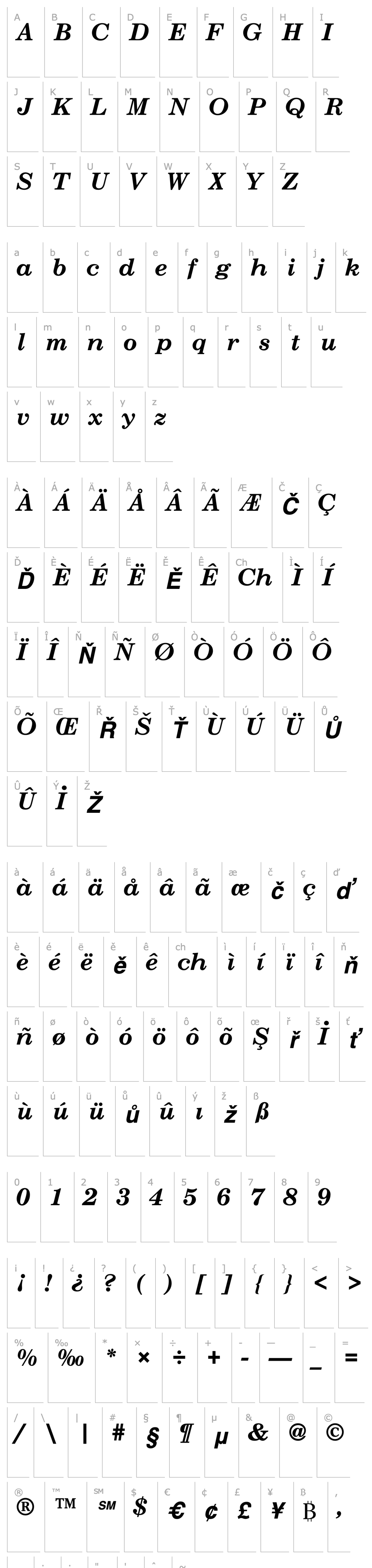 Overview Century Schoolbook Bold-Italic