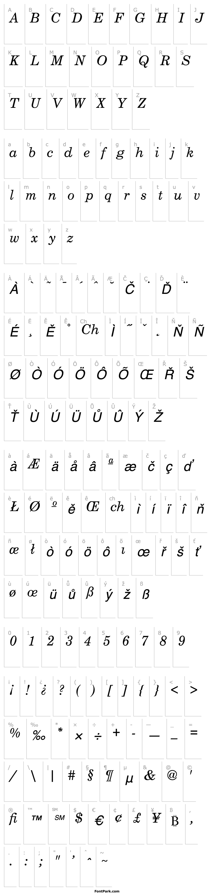 Přehled Century Schoolbook SSi Italic