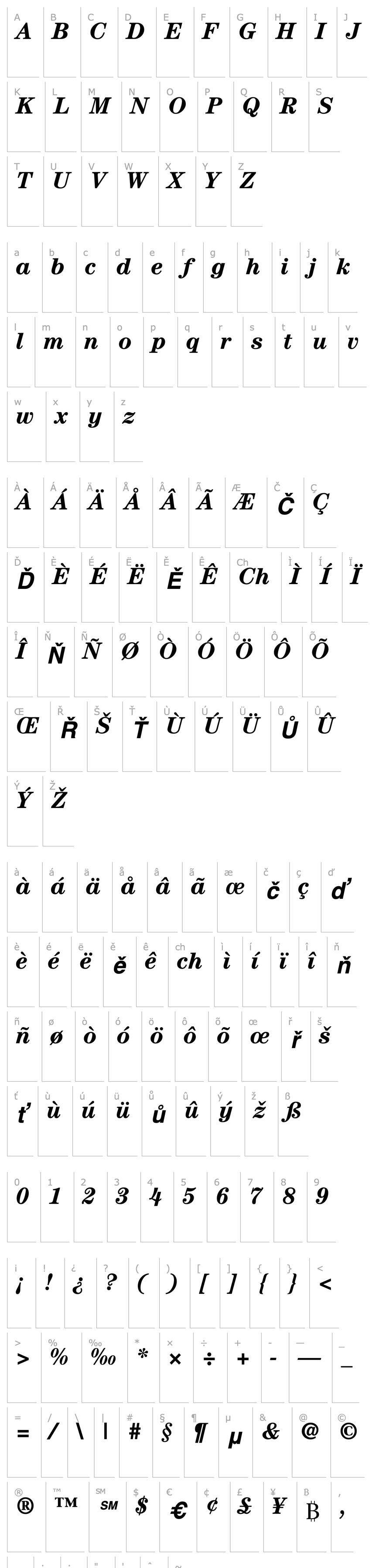 Overview Century SSi Bold Italic