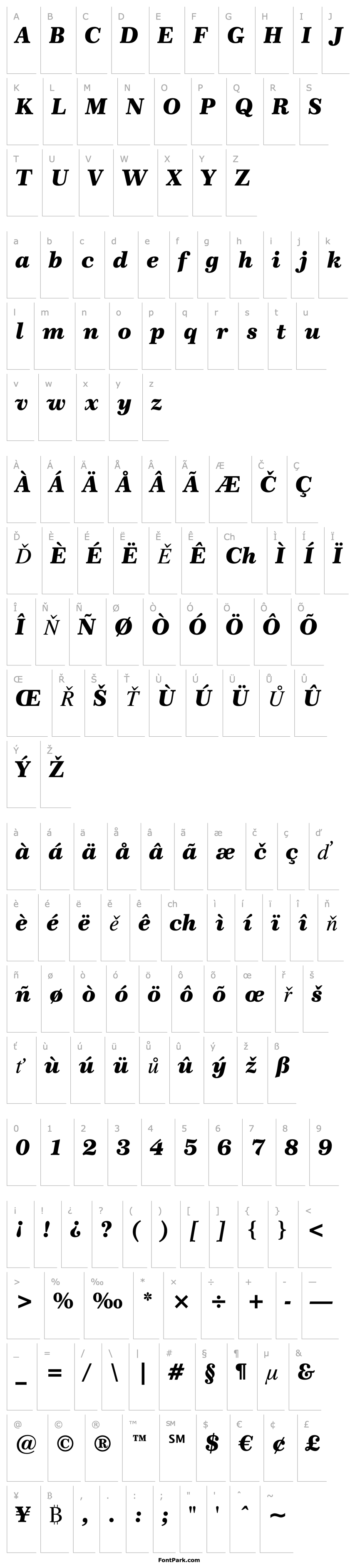 Overview Century751 Blk BT Black Italic