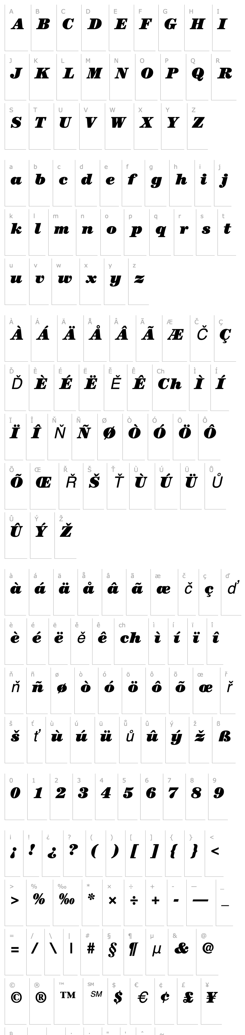 Overview CenturyBlackSSK Italic