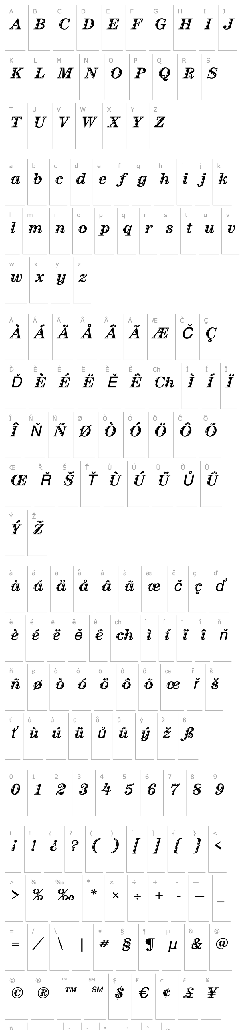 Overview CenturyHandICG-Italic