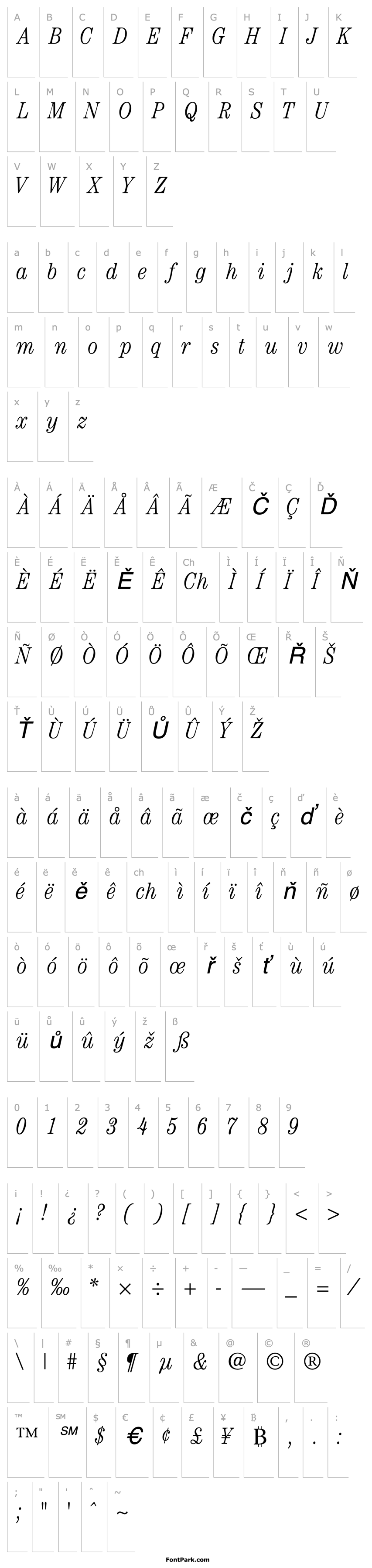 Přehled CenturyLightCondSSK Italic