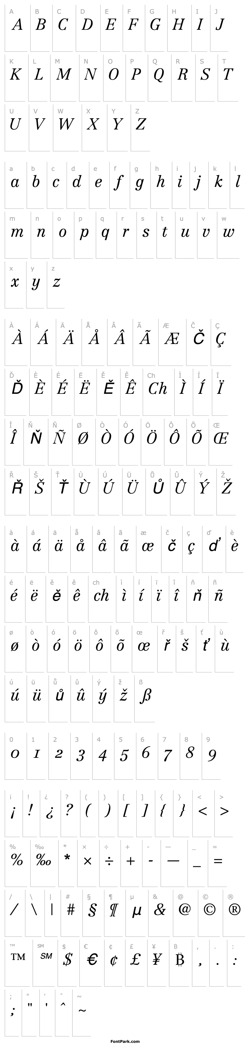 Overview CenturyRepriseLightOSSSK Italic