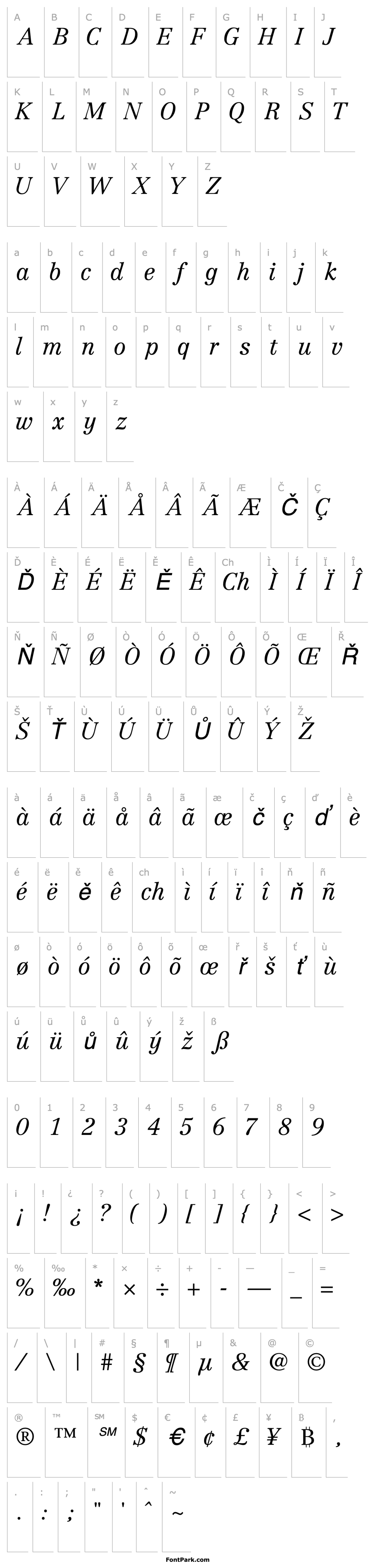 Overview CenturyRepriseLightSSK Italic