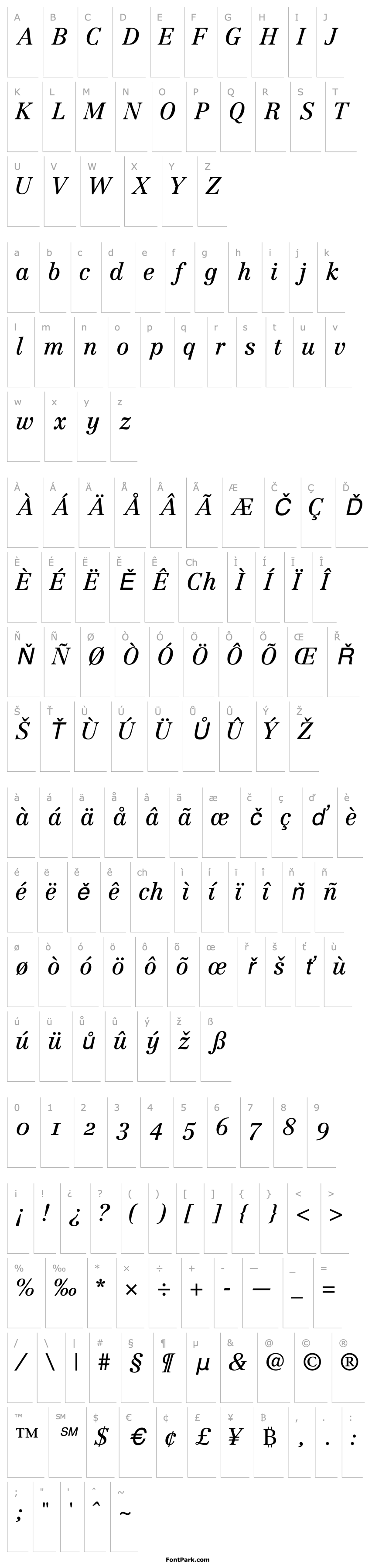 Overview CenturyRepriseOSSSK Italic