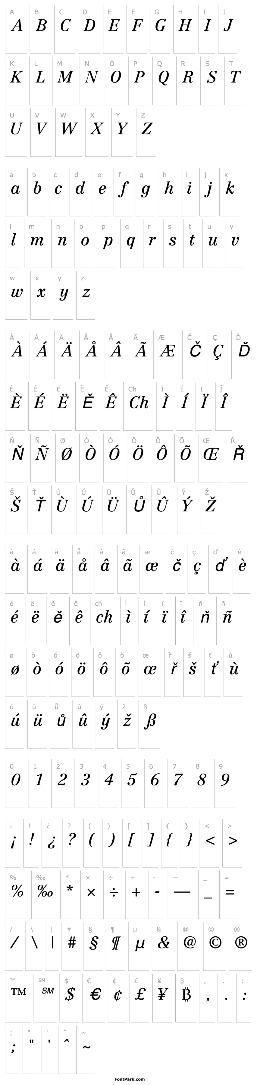 Overview CenturyRepriseSSK Italic