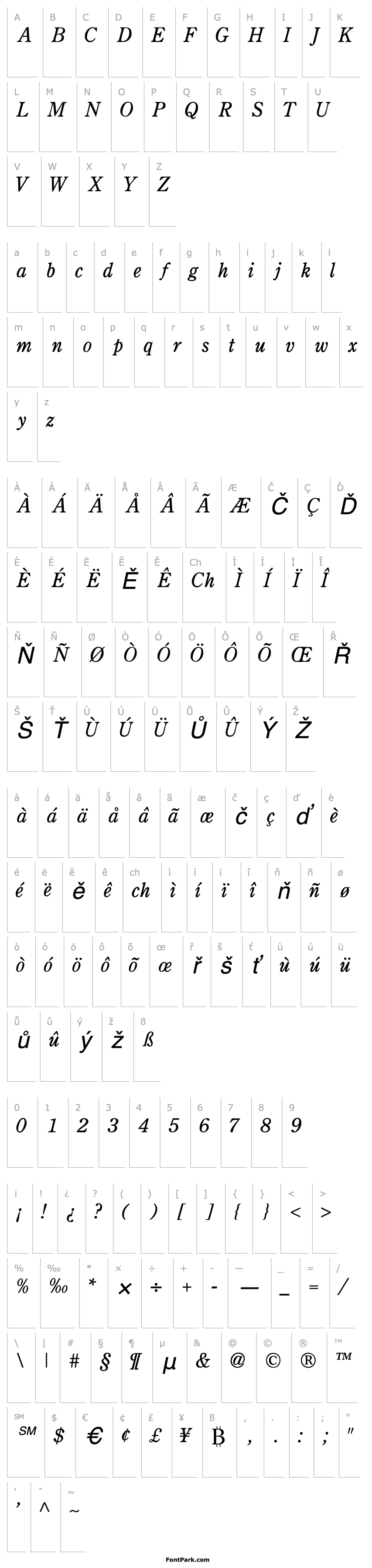 Přehled CenturyRetrospectiveLightSSK Italic