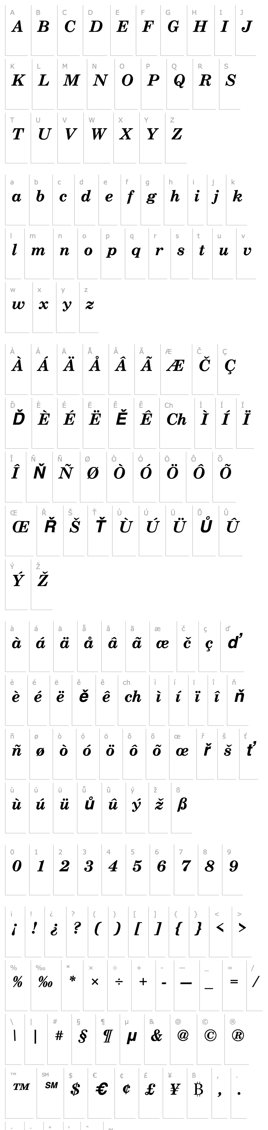 Overview CenturySch Bold Italic