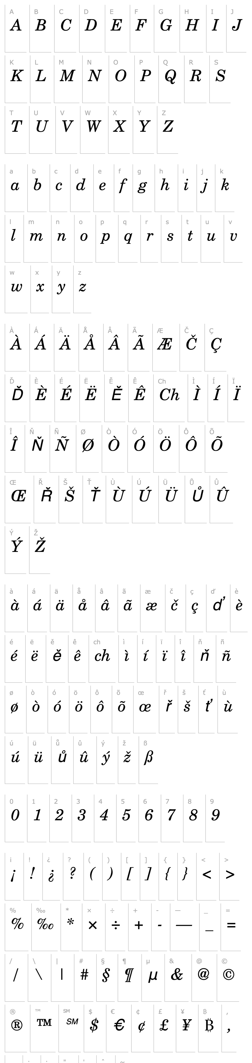 Overview CenturySchL Italic