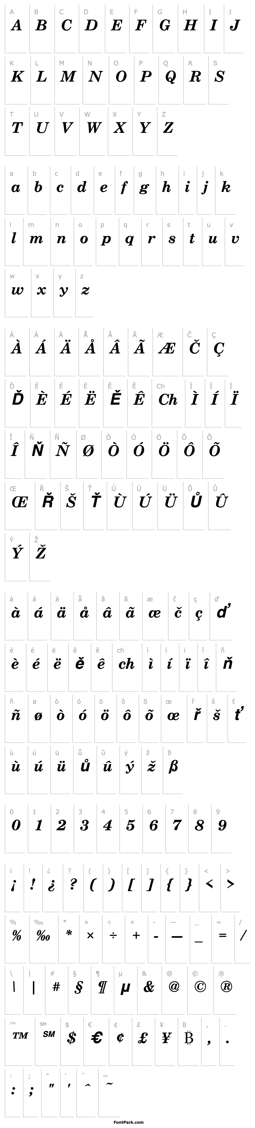 Overview CenturySchT Bold Italic