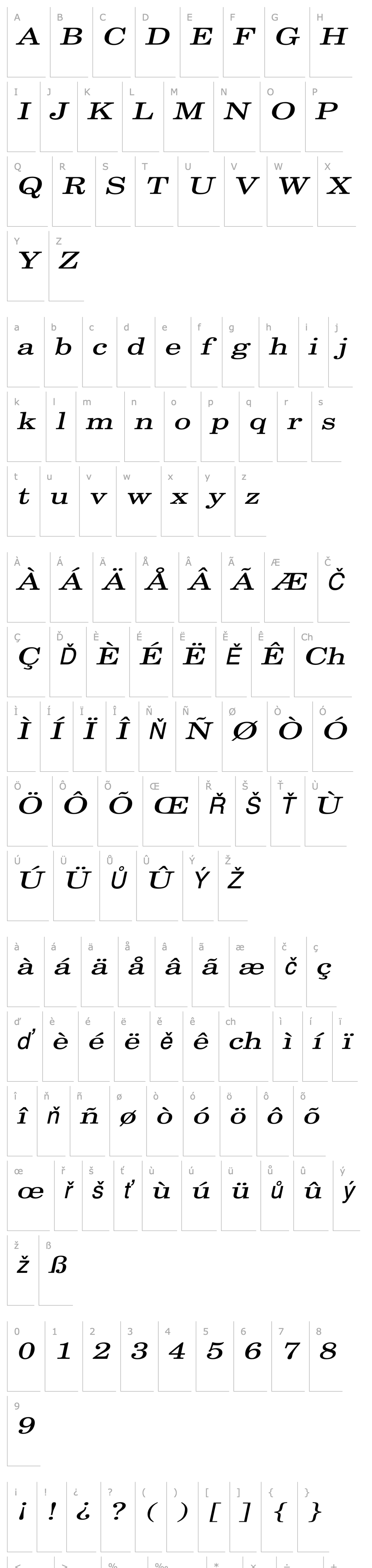 Overview CenturySWExtended Italic