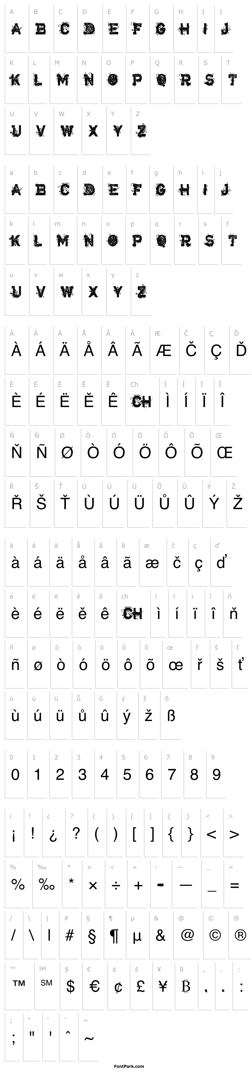 Přehled CF Armageddon Regular