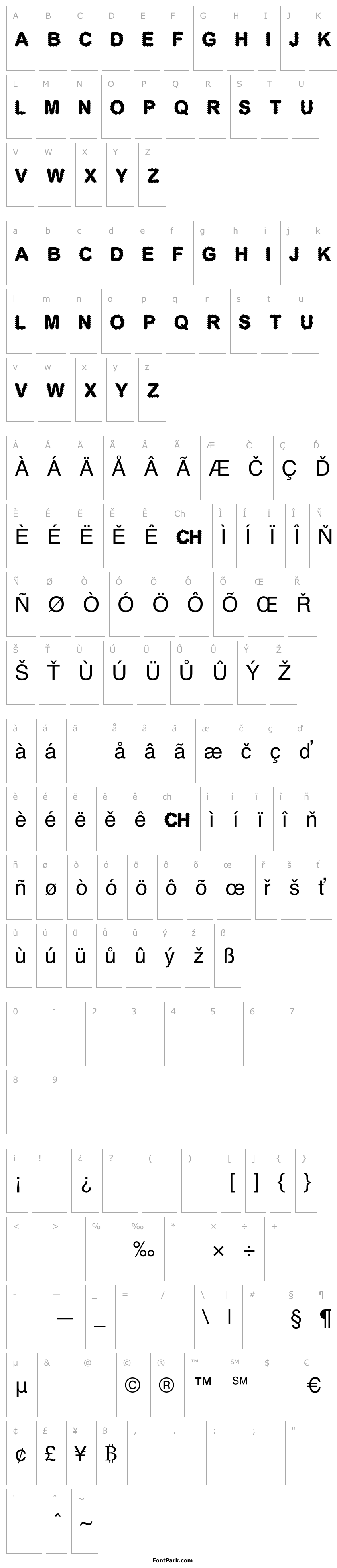 Přehled CF Electronic Board Regular