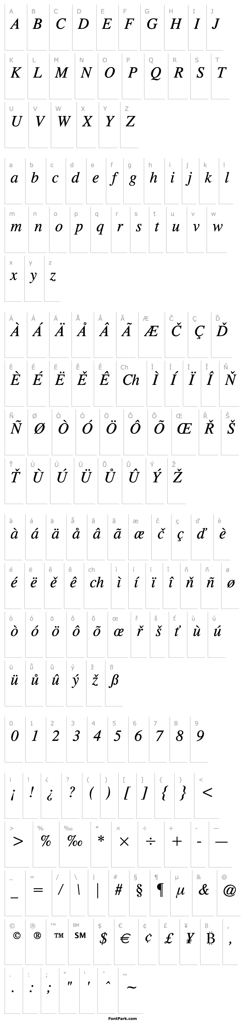 Overview CG Times Italic