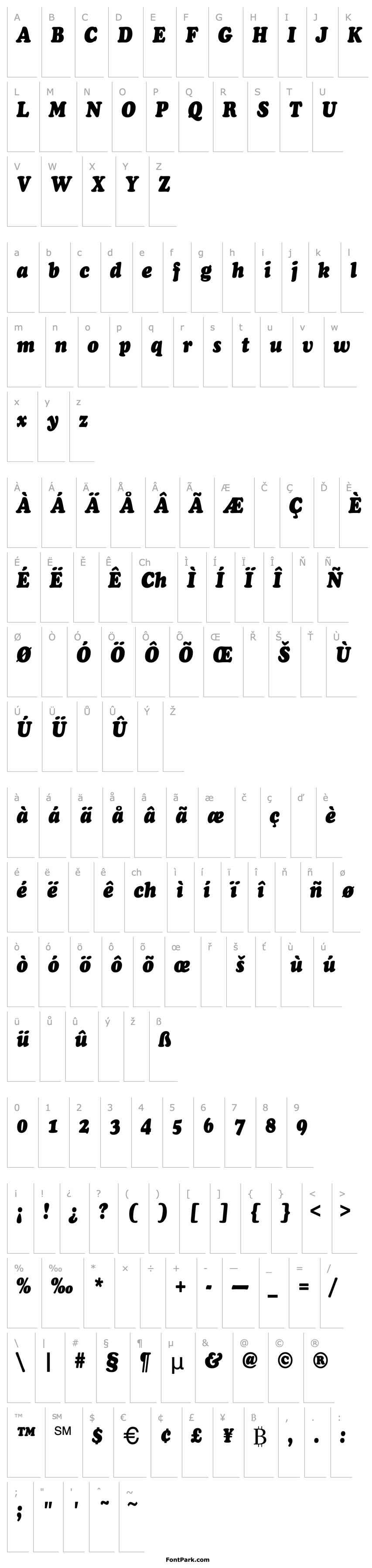 Overview ChaceyCnd-Heavy-Italic