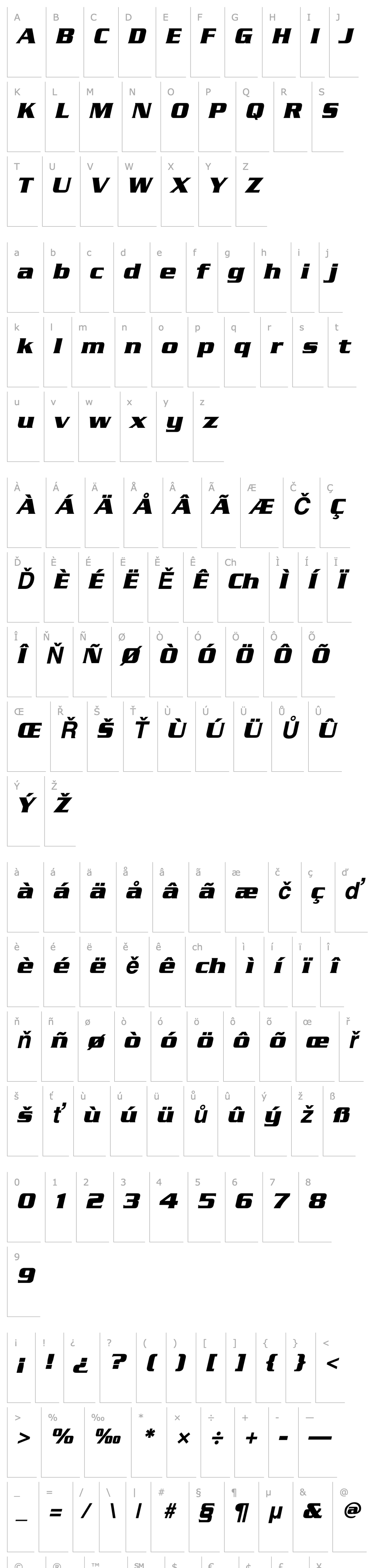 Přehled Chainlink Bold Oblique