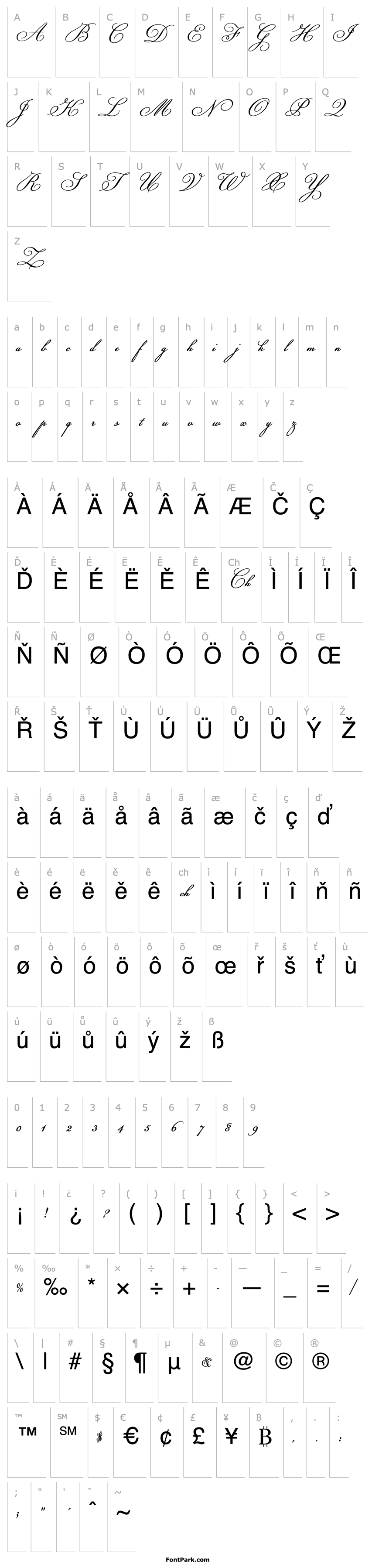 Přehled Champignon Script