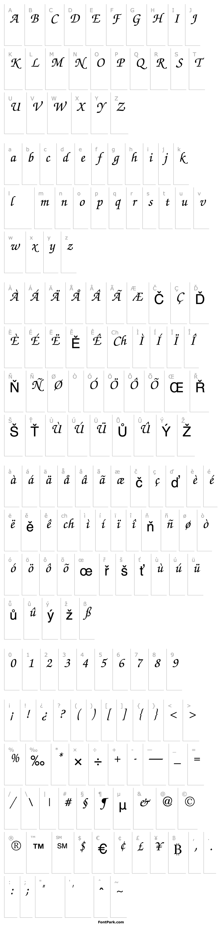 Overview Chancery Script Medium SSi Medium